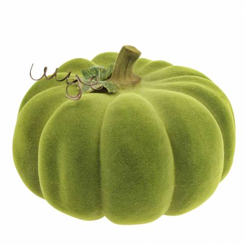Product Decorative pumpkin flocked moss green 32cm