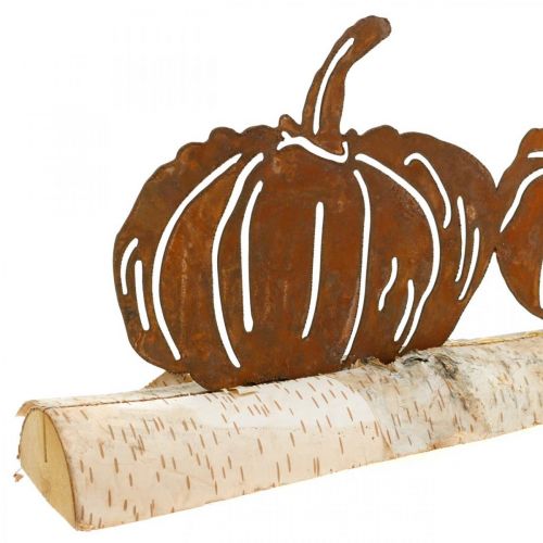 Floristik24 Pumpkins rust and bark metal decoration on birch wood 20×5cm H9cm
