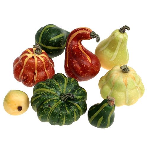 Floristik24 Pumpkin assortment in the net 12pcs
