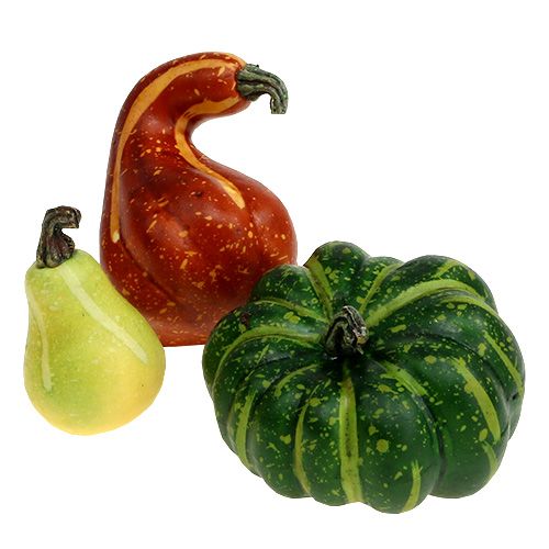 Floristik24 Pumpkin assortment in the net 12pcs