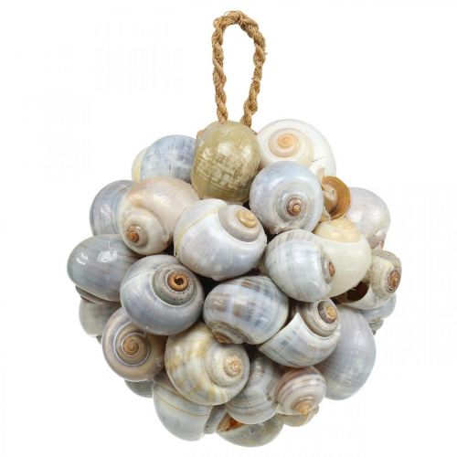 Floristik24 Maritime decoration ball sea snail shell ball natural decoration Ø12cm
