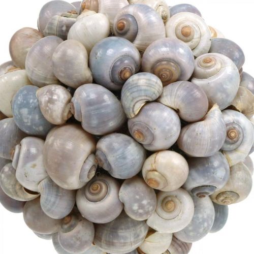 Product Sea shell ball Sea snails ball Marine natural decor Ø19cm