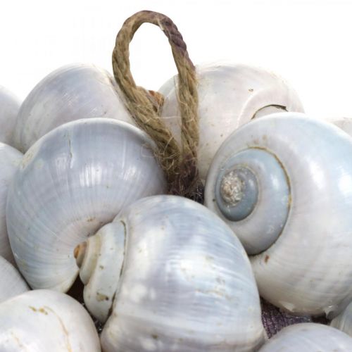Floristik24 Deco ball sea snails large Maritime decoration for hanging Ø25cm