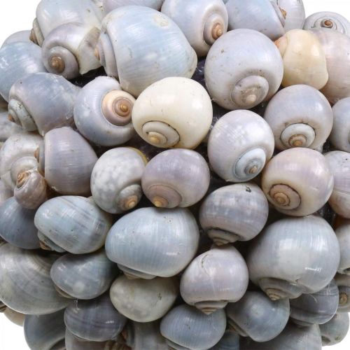 Floristik24 Deco ball sea snails large Maritime decoration for hanging Ø25cm