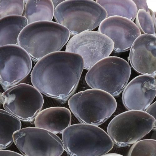 Product Shell ball Maritime decoration with shells Deco ball violet Ø12cm