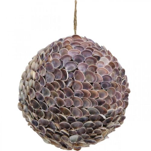 Deco ball shells shell ball large Maritime decoration Ø25cm