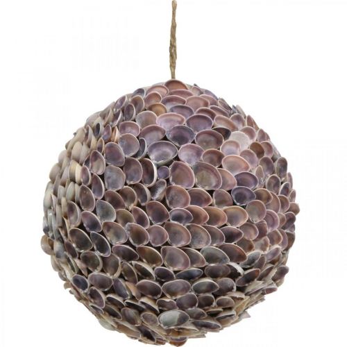 Floristik24 Sea shell ball Shell ball Large Marine decor Ø25cm