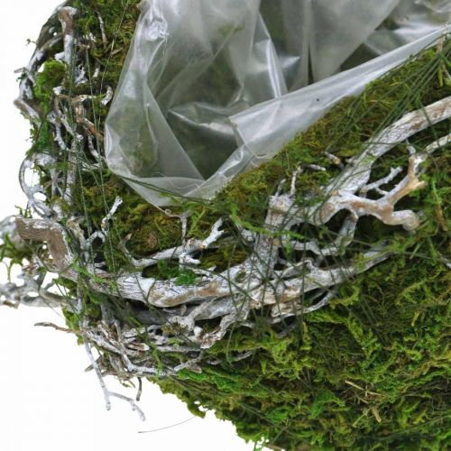 Product Grave decoration ball vines moss green, white washed Ø20cm