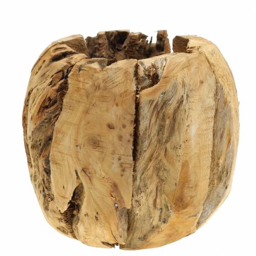 Bowl pot root wood camphor Ø20cm H17cm