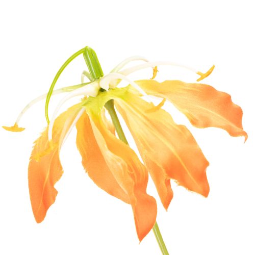 Artificial Gloriosa orange flower with long stems for vases 80cm 3pcs | Floristik24.ie