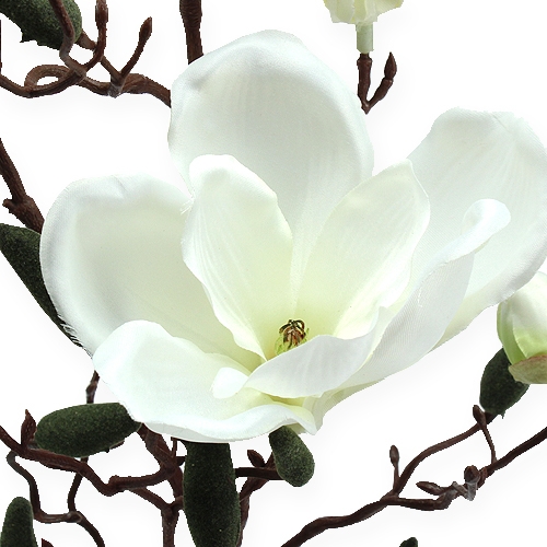 Product Artificial magnolia branch cream 90cm