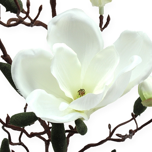 Floristik24 Artificial magnolia branch cream 90cm