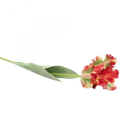 Product Artificial flower, parrot tulip red yellow, spring flower 69cm