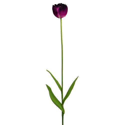 Floristik24 Artificial flowers tulips purple-green 84cm - 85cm 3pcs