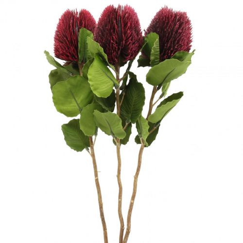 Artificial flowers, Banksia, Proteaceae wine red L58cm H6cm 3pcs