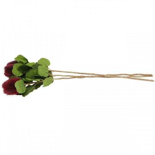 Product Artificial flowers, Banksia, Proteaceae wine red L58cm H6cm 3pcs