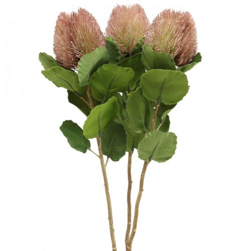 Artificial Flowers, Banksia, Proteaceae White-Purple L58cm H6cm
