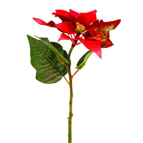Artificial flowers poinsettia red L73cm