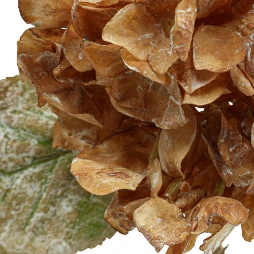 Product Artificial hydrangea dried up Drylook autumn decoration L33cm