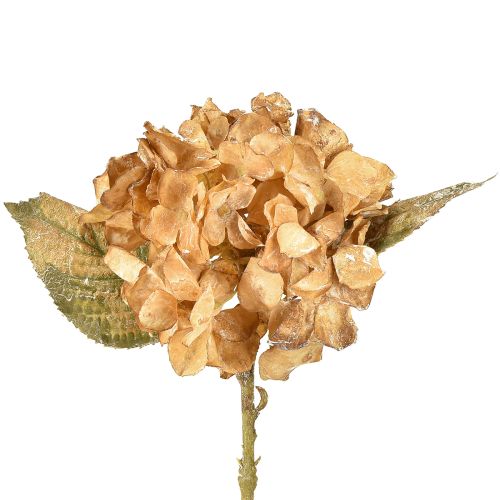 Floristik24 Artificial hydrangea dried up Drylook autumn decoration L33cm