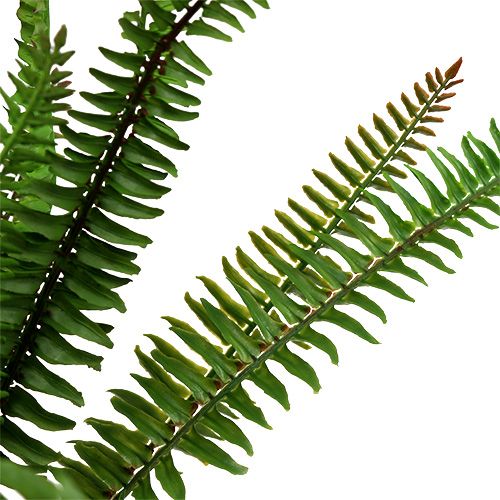 Floristik24 Artificial fern dark green 45cm