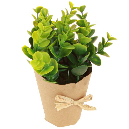 Floristik24 Artificial Plants Artificial Fern Boxwood 15-19cm 4pcs