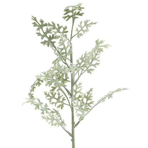 Floristik24 Artificial plants silver leaf white-green 40cm 6pcs