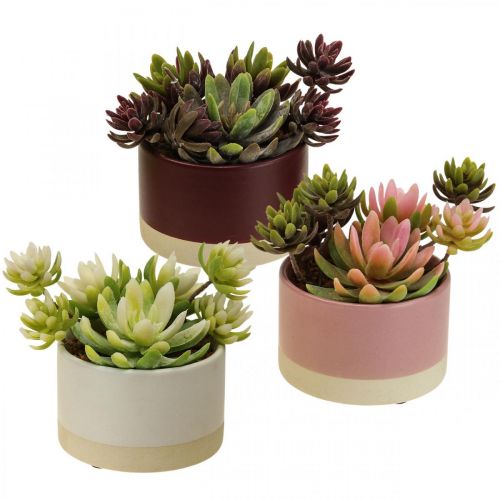 Product Artificial plants in pots artificial succulents H13cm 3pcs