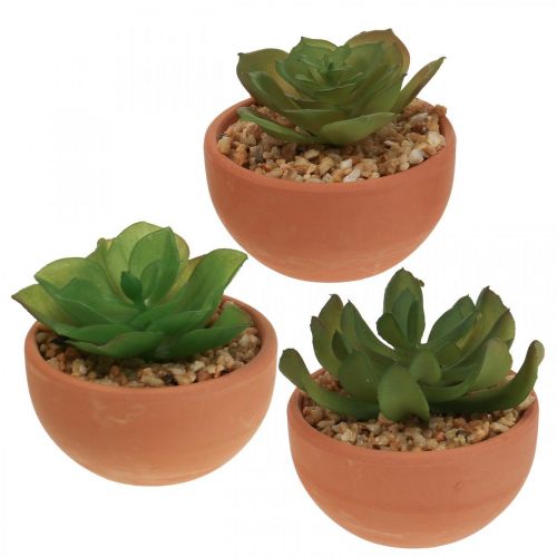 Floristik24 Artificial plants in pots artificial succulents H9cm 3pcs