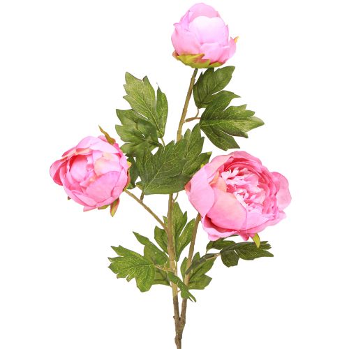 Floristik24 Artificial Roses Peonies Artificial in Pink L80cm 2pcs
