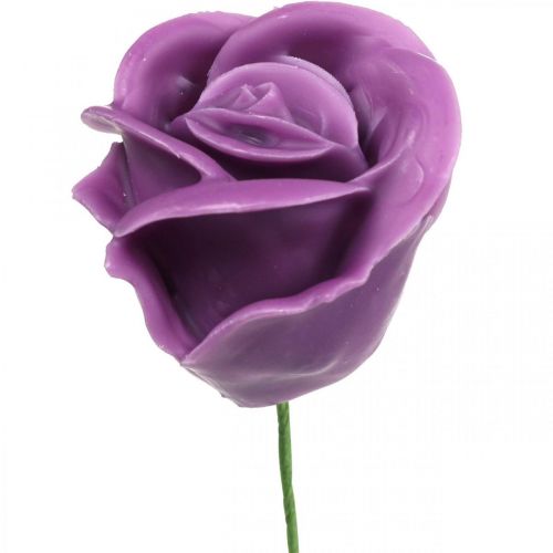 Product Artificial roses violet wax roses deco roses wax Ø6cm 18p