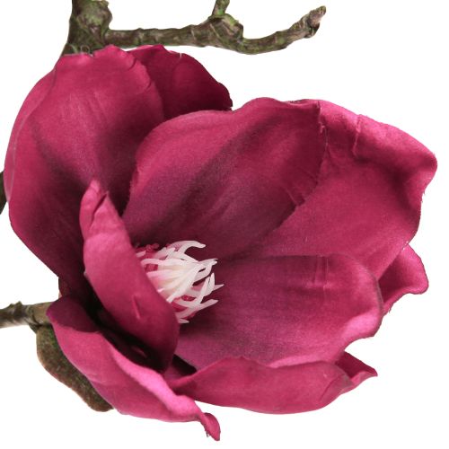 Product Artificial Magnolia Branch Artificial Flowers Bordeaux L100cm