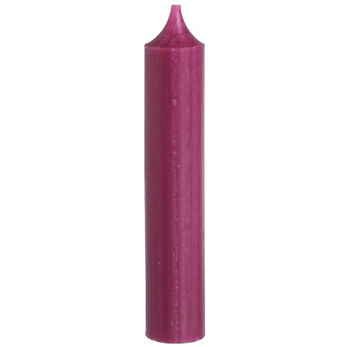 Floristik24 Short candles wax candles in Berry 21×110mm 6 pcs