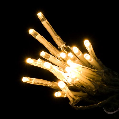 Floristik24 LED light chain warm white with timer 20 275cm