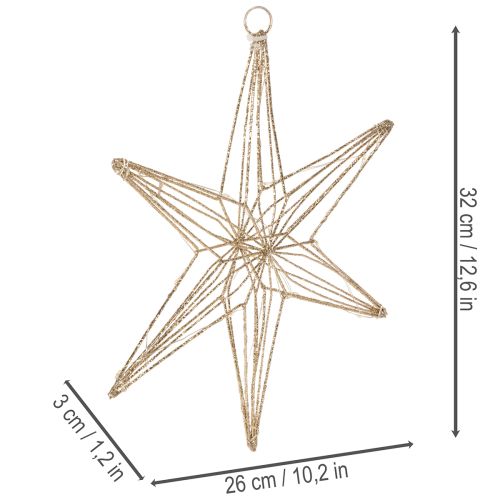 Decorative LED star made of wire for hanging, for indoor use, 32cm | Floristik24.ie