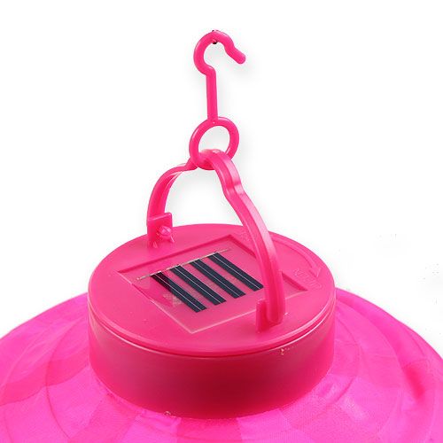 Floristik24 Lampion LED with solar 20cm pink
