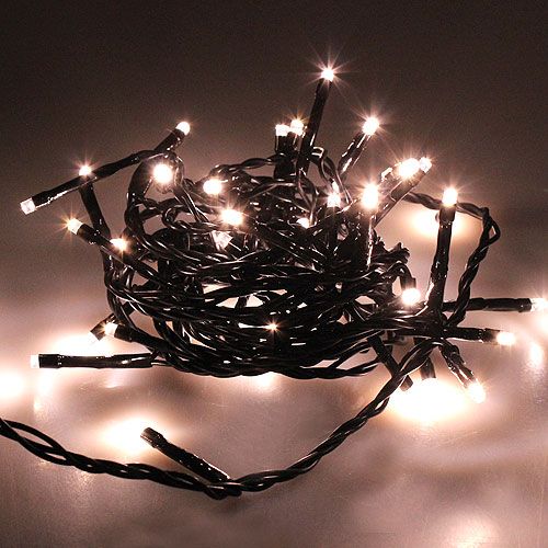 Product LED rice light chain 40s 3m for outside warm white