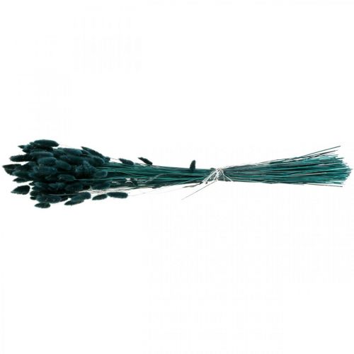 Floristik24 Lagurus Dried Rabbit Tail Grass Dark Green 65-70cm 100g