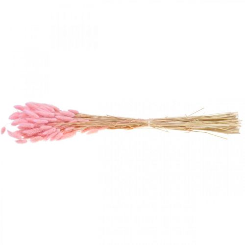 Floristik24 Lagurus dried rabbit tail grass light pink 65-70cm 100g