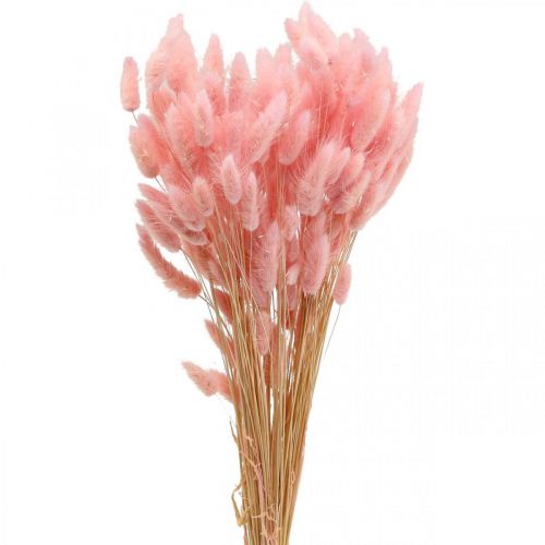 Lagurus dried rabbit tail grass light pink 65-70cm 100g