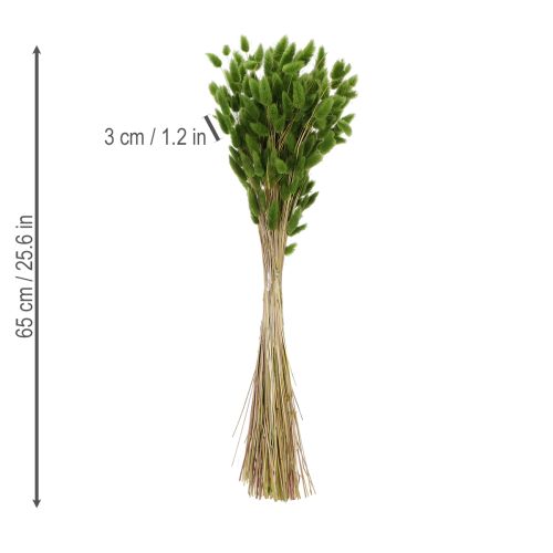 Product Dried Lagurus (Hare's Tail Grass) 65-70cm 100g