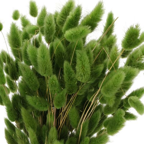 Product Dried Lagurus (Hare's Tail Grass) 65-70cm 100g