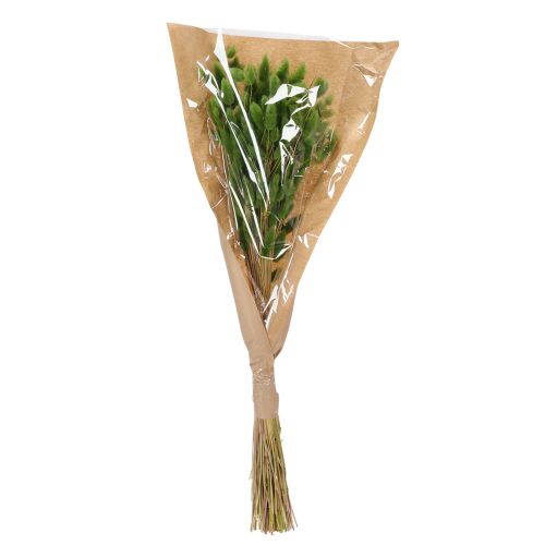 Product Dried Lagurus (Hare's Tail Grass) 65-70cm 100g