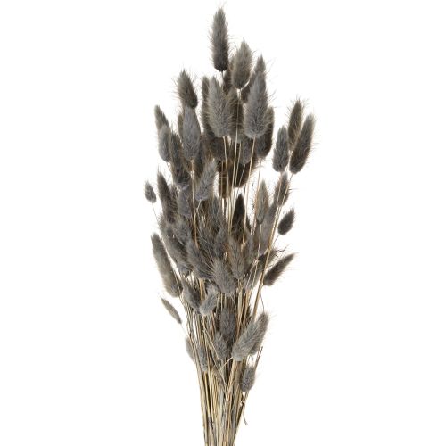 Lagurus Dried Hare&#39;s Tail Grass Grey 45-55cm 50g