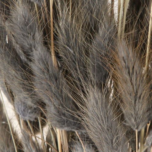 Product Lagurus Dried Hare&#39;s Tail Grass Grey 45-55cm 50g