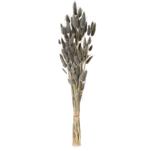 Product Lagurus Dried Hare&#39;s Tail Grass Grey 45-55cm 50g
