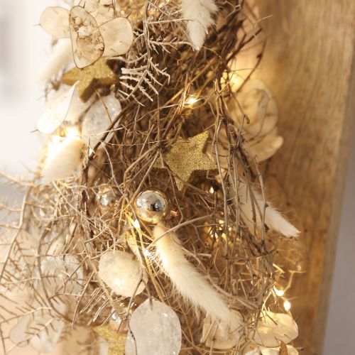Dried Flowers Lagurus ovatus Hare's Tail Cream 55-70cm 100g | Floristik24.ie