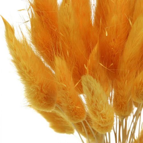Product Lagurus Yellow Bunny Tails Dried Hare's Tail Grass 40–55cm 25g