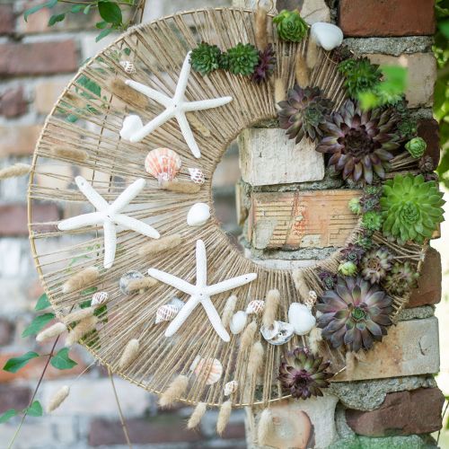 Product Lagurus Dried Hare&#39;s Tail Grass Colored 65-70cm 100g