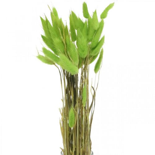 Velvet grass green, lagurus, dry decoration, dried sweet grass L18-50cm 25g